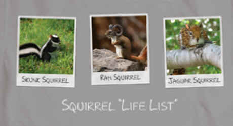 Squirrel Life List t-shirt tshirt tee shirt