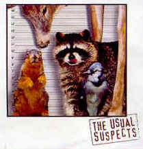 The Usual Suspects Squirrel graphic t-shirt tshirt tee shirt