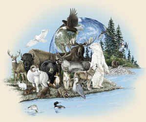 mammals of north america native animals t-shirt tshirt tee shirt