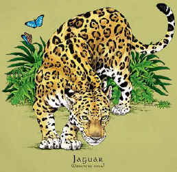 jaguar wild cat species of central and south america t-shirt tshirt tee shirt