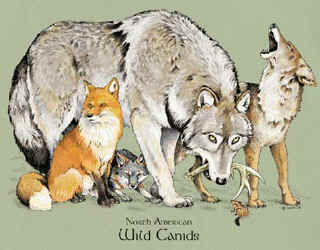 extinct canines dire wolf coyote, fox wolf pack t-shirt tshirt tee shirt