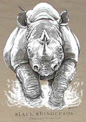 rhino rhinocerous pachyderm t-shirt tshirt tee shirt