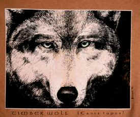 wolf pack t-shirt tshirt tee shirt