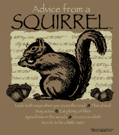 Advice from a Squirrel graphic t-shirt tshirt tee shirt