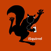 ISquirrel Squirrel graphic t-shirt tshirt tee shirt