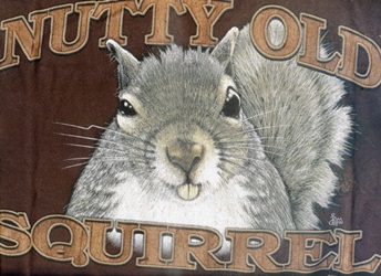 OK to be a Little Nuts Squirrel graphic t-shirt tshirt tee shirt
