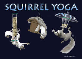 Squirrel Yoga poses on birdfeeder Squirrel graphic t-shirt tshirt tee shirt