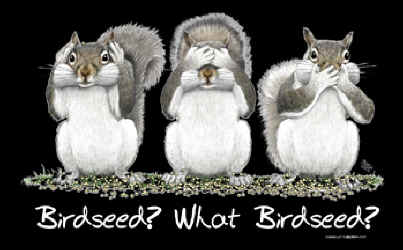 What Birdseed See no evil hear no evil speak no evil Squirrel graphic t-shirt