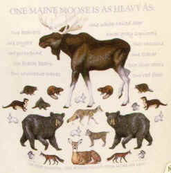 moose and other forest species t-shirt tshirt tee shirt
