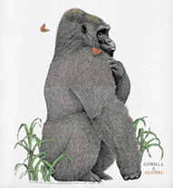 primate gorilla species t-shirt tshirt tee shirt