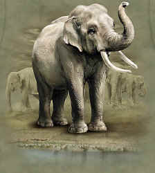 elephant pachyderm t-shirt tshirt tee shirt