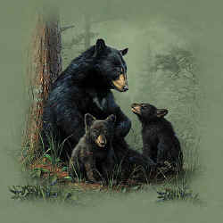 black bear family t-shirt tshirt tee shirt