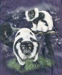 primate ringtailed lemur species t-shirt tshirt tee shirt