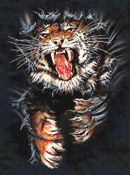 tiger wild big cat species of t-shirt tshirt tee shirt