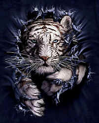 tiger wild big cat species of t-shirt tshirt tee shirt