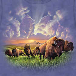 buffalo bison herd t-shirt tshirt tee shirt
