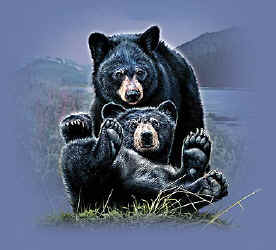 black bear t-shirt tshirt tee shirt