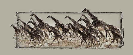 giraffe herd t-shirt tshirt tee shirt