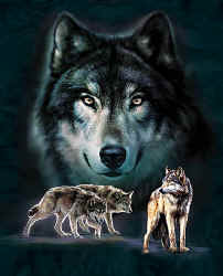 wolf pack t-shirt tshirt tee shirt