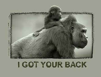 primate gorilla silverback species t-shirt tshirt tee shirt