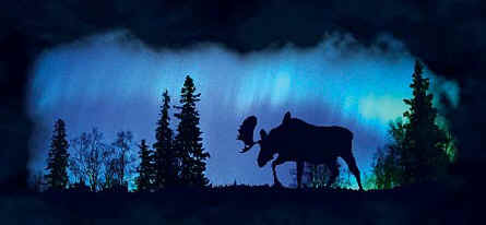 moose t-shirt tshirt tee shirt