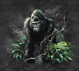 primate gorilla silverback species t-shirt tshirt tee shirt