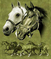 horse t-shirt tshirt tee shirt