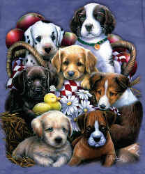 puppy dog breeds t-shirt tshirt tee shirt