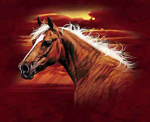 horse t-shirt tshirt tee shirt