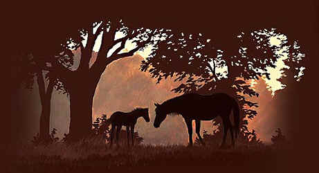 horse t-shirt tshirt tee shirt