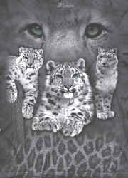 siberian and bengal tigers wild big cat species of t-shirt tshirt tee shirt