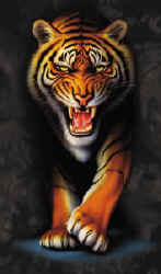 tiger wild big cat species of t-shirt tshirt tee shirt