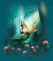 unicorn horse t-shirt tshirt tee shirt