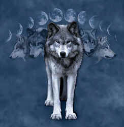 wolf pack t-shirt tshirt tee shirt
