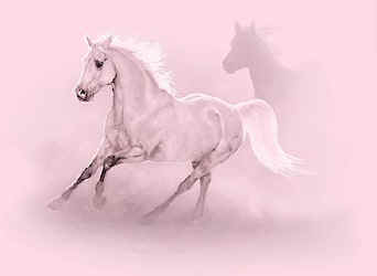 horse t-shirt tshirt tee shirt