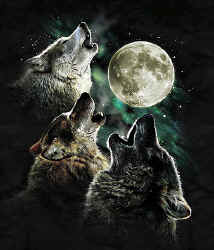 wolf pack t-shirt tshirt tee shirt