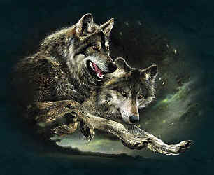 wolf pack t-shirt tshirt tee shirt