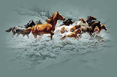 horse t-shirt tshirt tee shirt