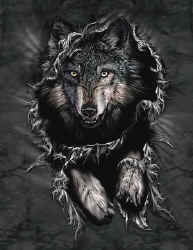 wolf pack t-shirt tshirt tee shirt