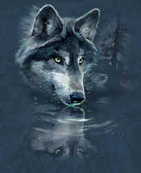 wolf pack t-shirt tshirt tee shirt