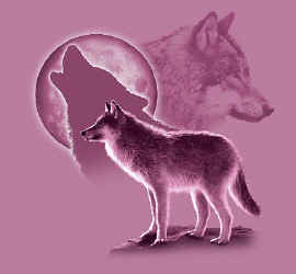 wolf pack t-shirt tshirt tee shirt