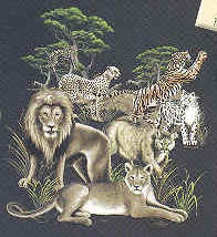 wild big cat species of t-shirt tshirt tee shirt