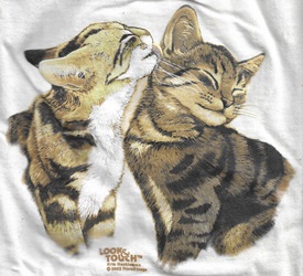 cat kitten breeds t-shirt tshirt tee shirt