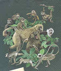 wild primate species of t-shirt tshirt tee shirt