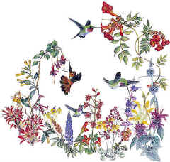 nectar plants for hummingbirds on a t-shirt