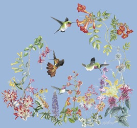 hummingbird pollinated nectar flowers native wildflower species and exotic garden species on a t-shirt