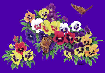 butterfly orchid species and butterflies on a t-shirt