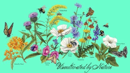 Uncultivated by Nature wild flowers native plants on a t-shirt