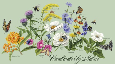 Uncultivated by Nature wild flowers native plants on a t-shirt