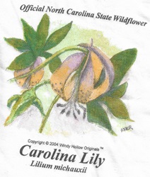 Wild Carolina Lily official north carolina wildflower flowers native plants on a t-shirt